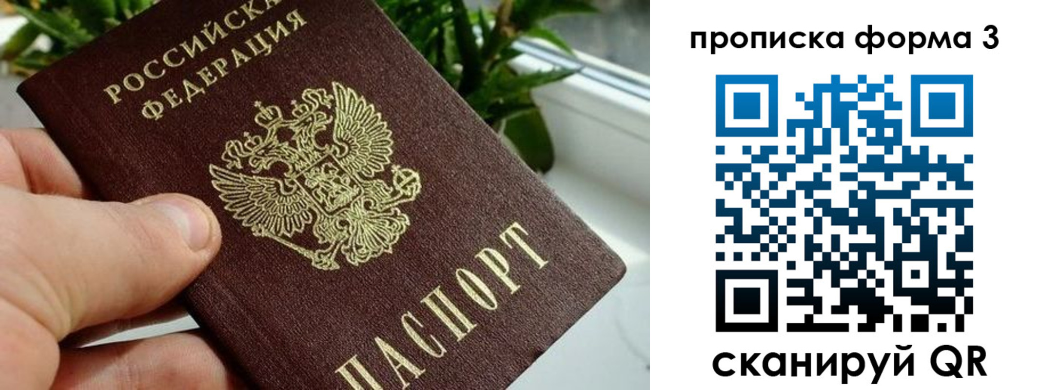 прописка паспорт в Клине